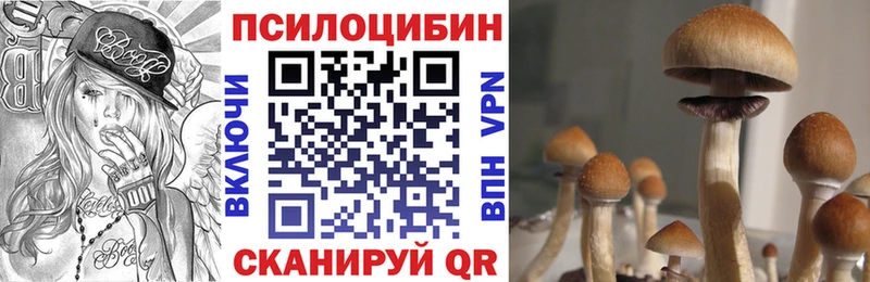 Псилоцибиновые грибы Magic Shrooms  Купить закладки  Таштагол 